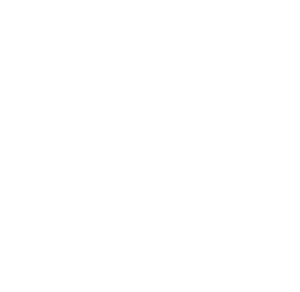 Drone2