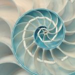 Biomimicry Shaping the Future of Sustainable 5-Axis Machining